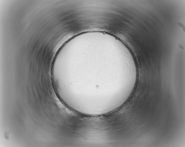 X0000102311189200808152034
