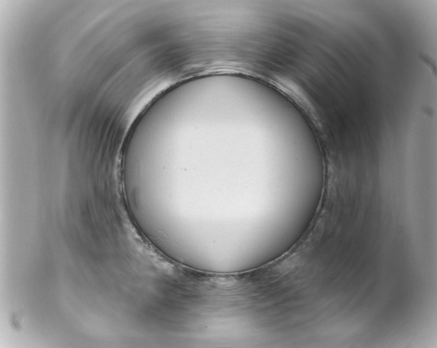 X0000102311190200808152034