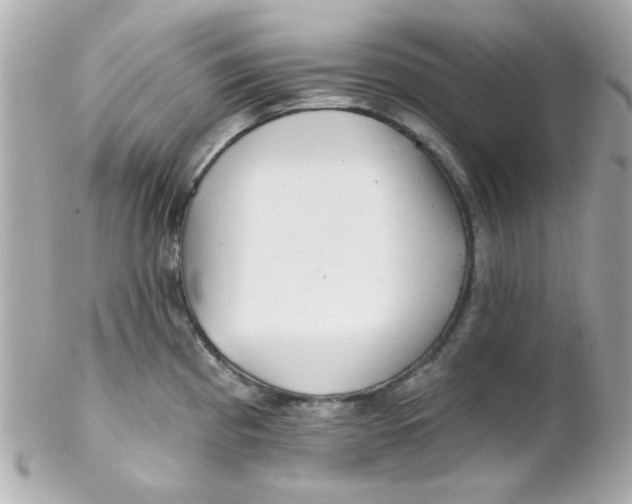 X0000102311193200808152034