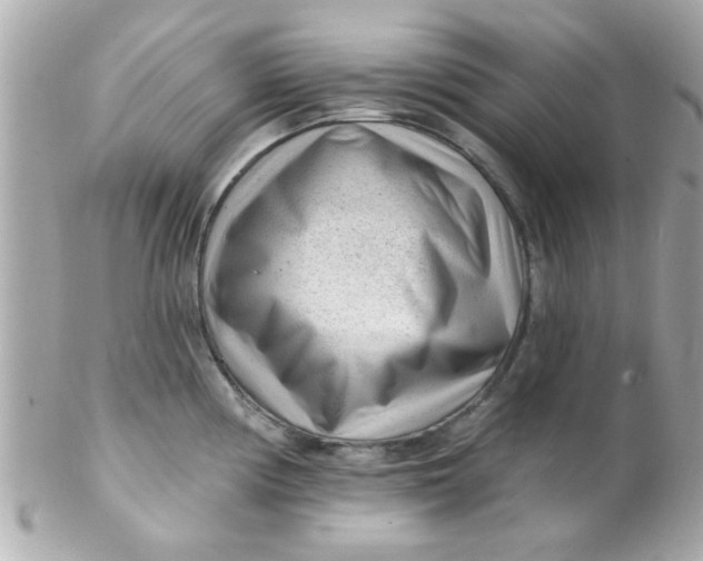 X0000102311194200808152034