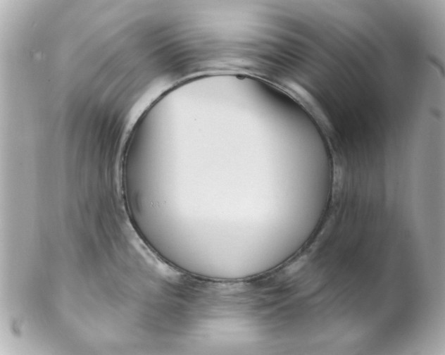 X0000102311196200808152034