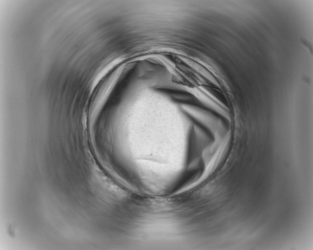 X0000102311198200808152034