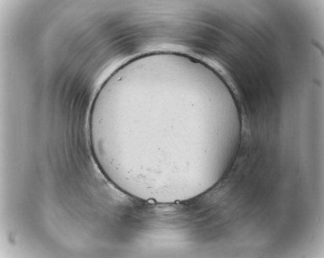 X0000102311199200808152034