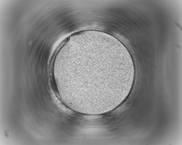 X0000102311200200808152034