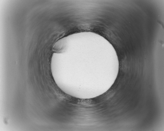 X0000102311201200808152033
