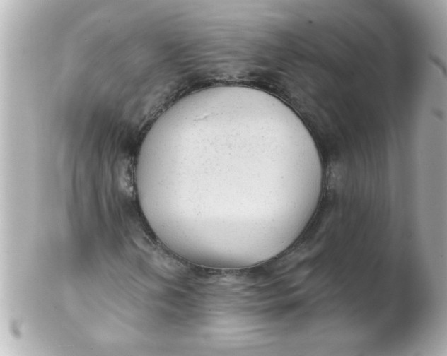 X0000102311202200808152033