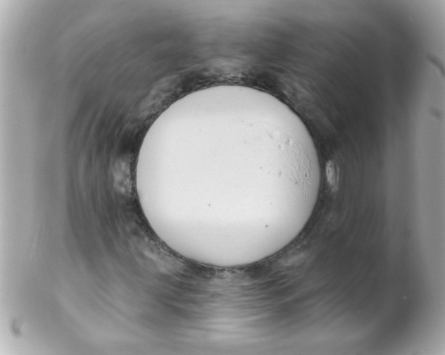 X0000102311203200808152033
