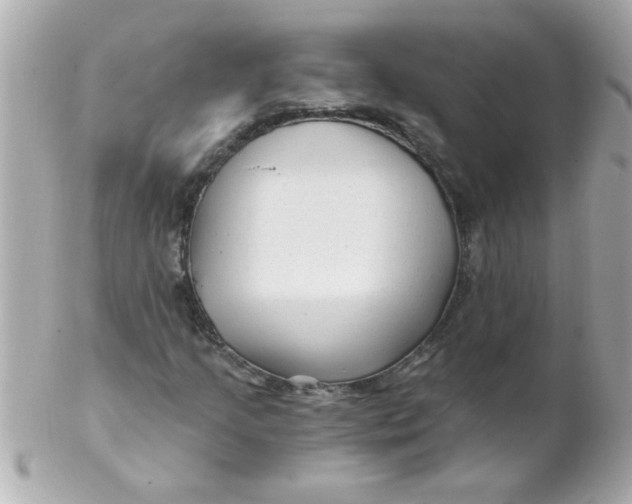 X0000102311205200808152033