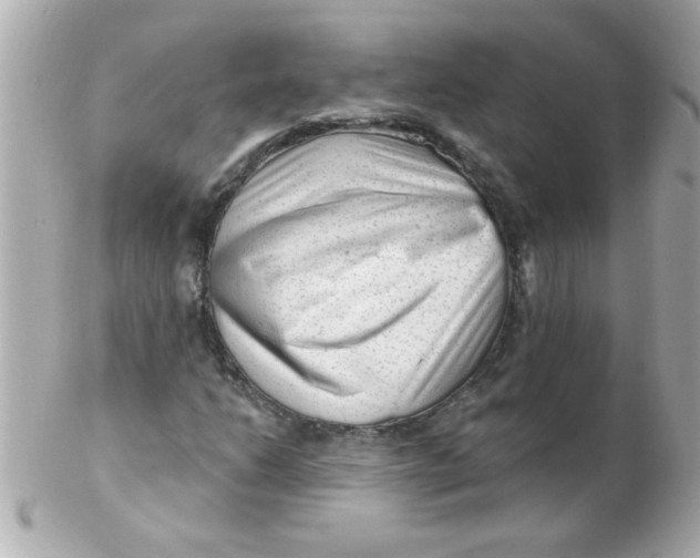 X0000102311206200808152033