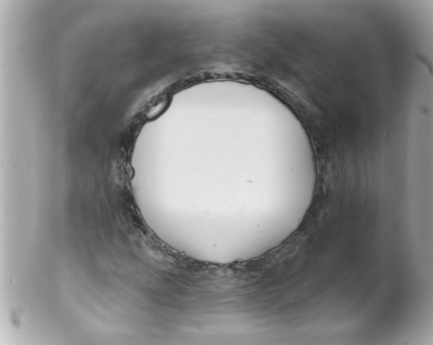 X0000102311207200808152033
