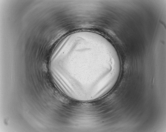 X0000102311209200808152033