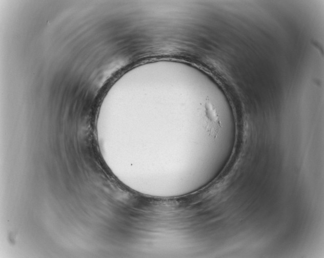 X0000102311210200808152033