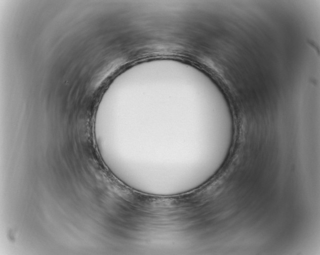 X0000102311211200808152033