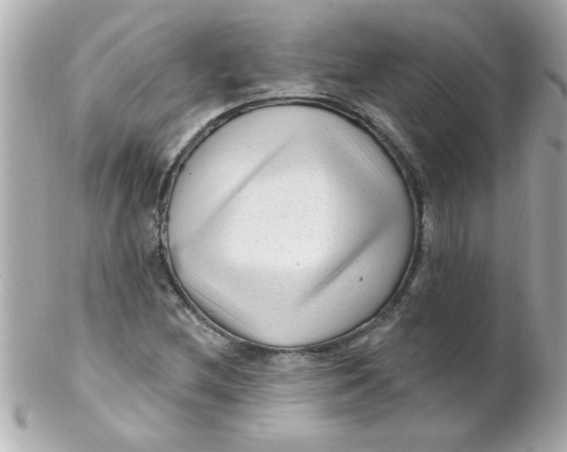 X0000102311212200808152033