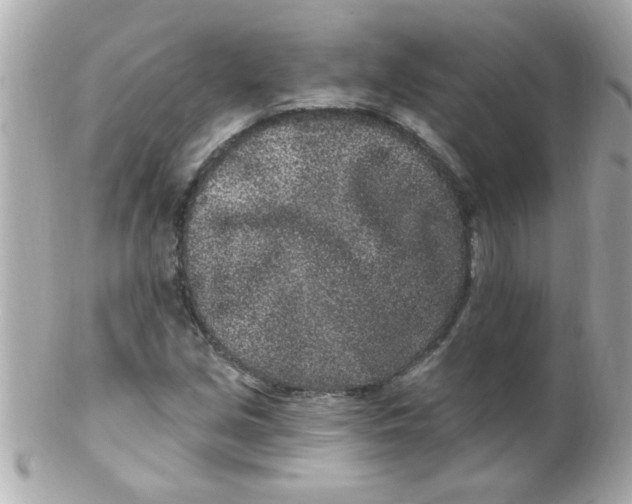 X0000102311213200808152033