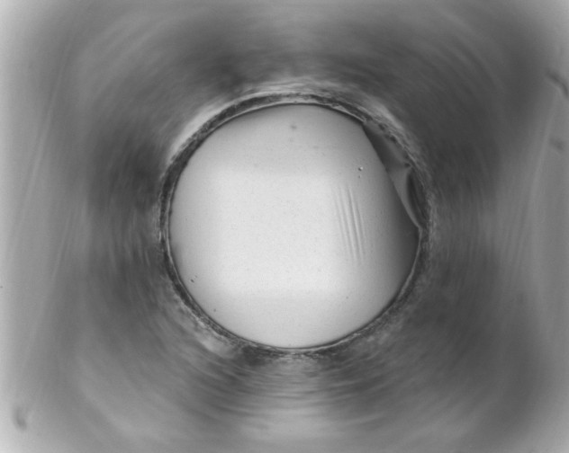 X0000102311216200808152033