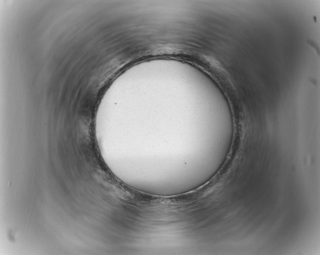 X0000102311217200808152033