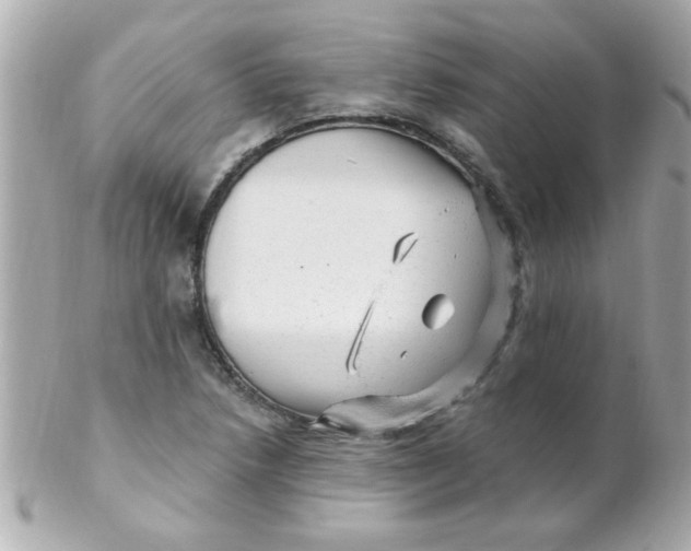 X0000102311218200808152033