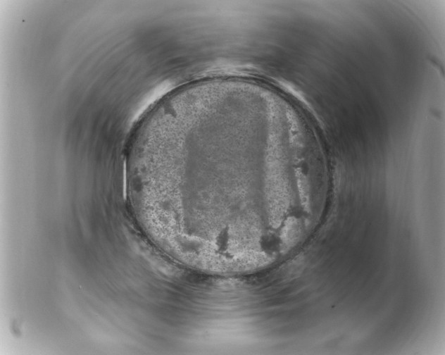 X0000102311219200808152033