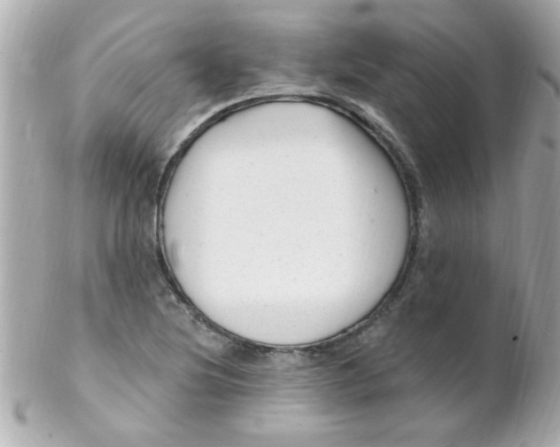 X0000102311220200808152033