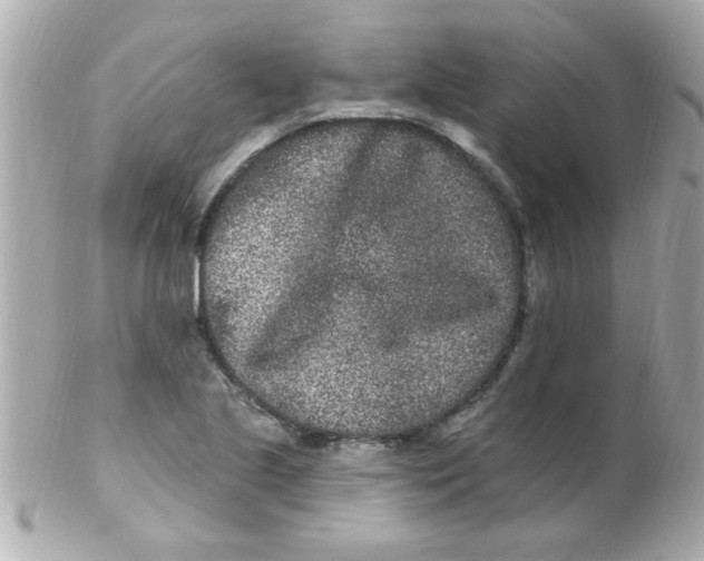 X0000102311221200808152033