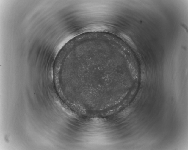 X0000102311226200808152033