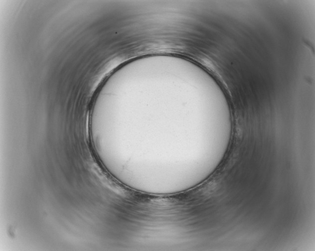 X0000102311227200808152033