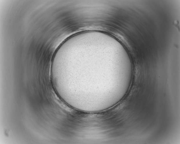 X0000102311228200808152033