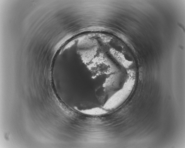 X0000102311229200808152033