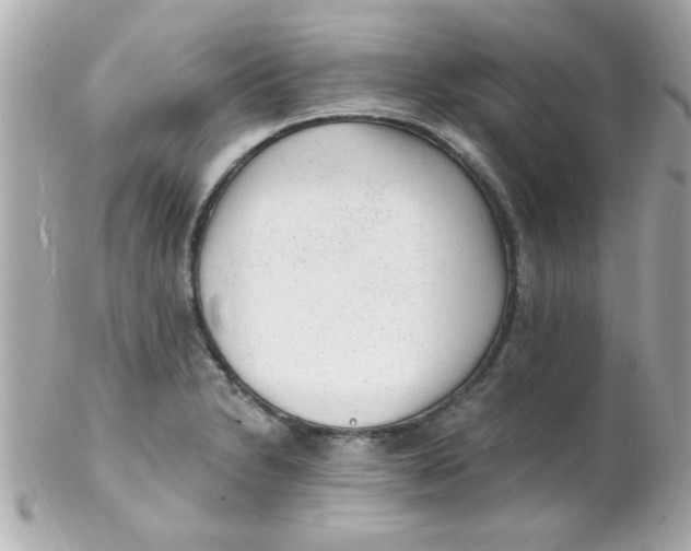X0000102311230200808152033