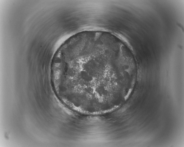 X0000102311231200808152033
