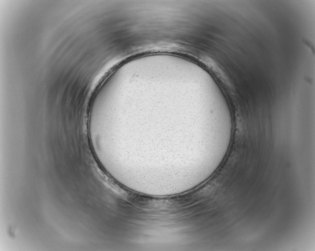 X0000102311232200808152033