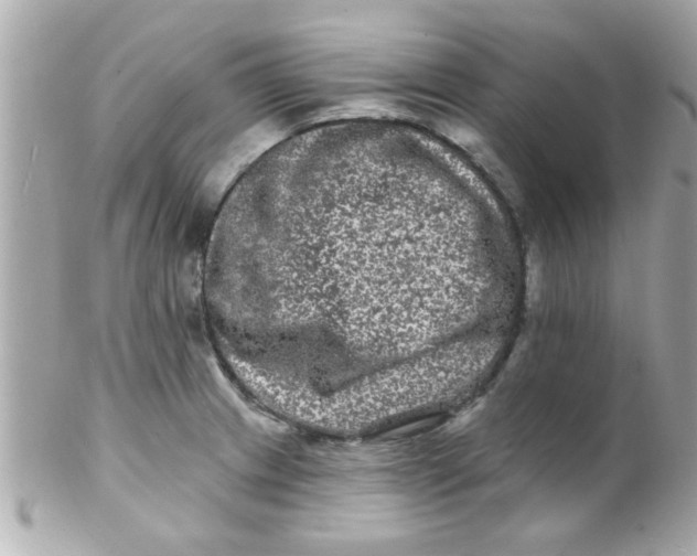 X0000102311233200808152033