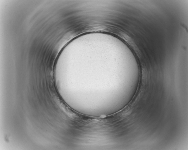X0000102311234200808152033