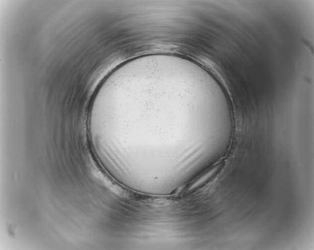 X0000102311235200808152033