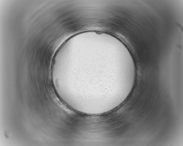 X0000102311236200808152033