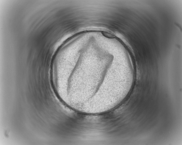 X0000102311237200808152033