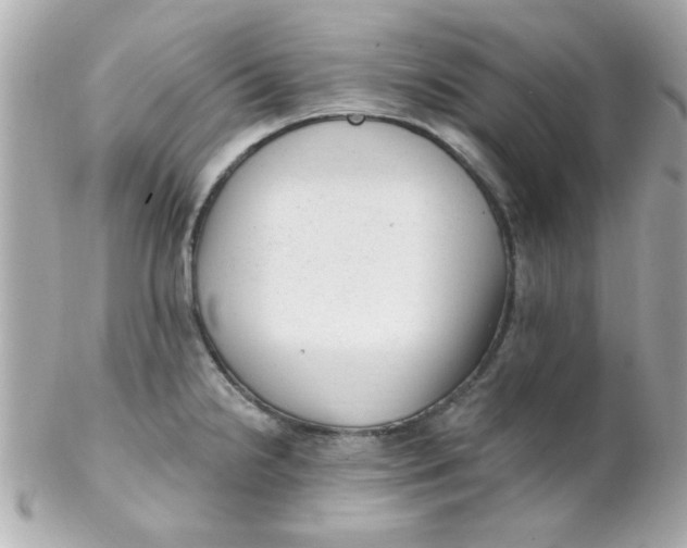 X0000102311238200808152033