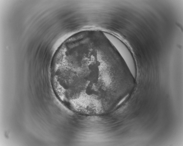 X0000102311239200808152033