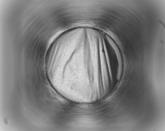 X0000102311240200808152033
