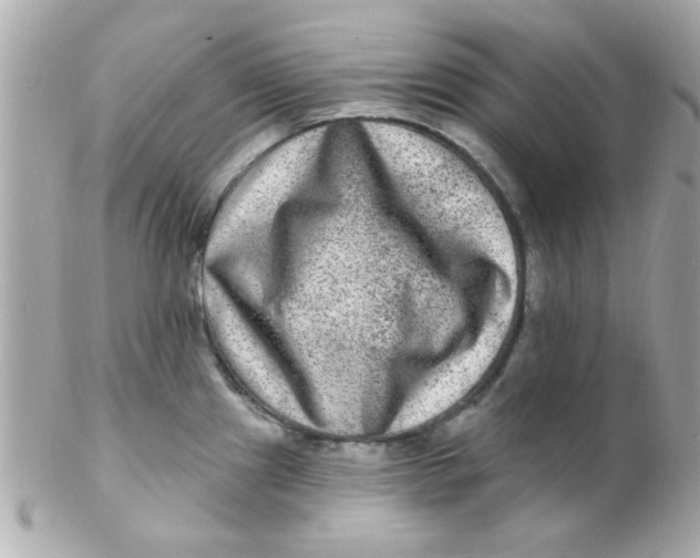 X0000102311241200808152033
