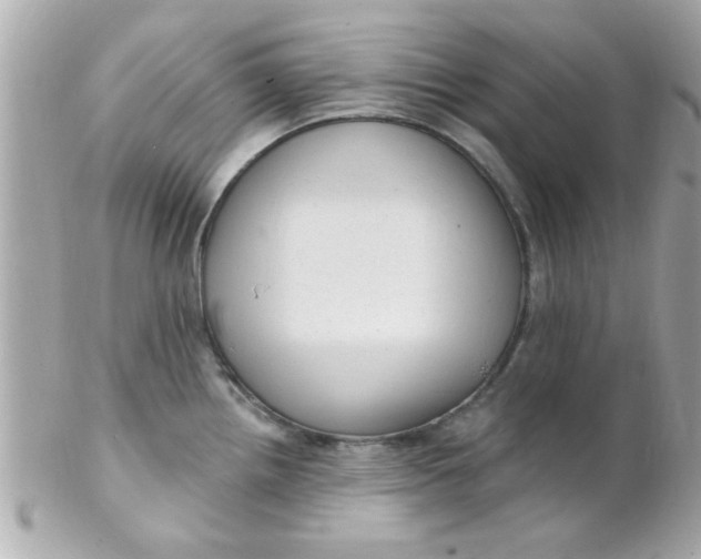 X0000102311242200808152033