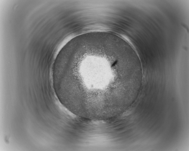 X0000102311243200808152033