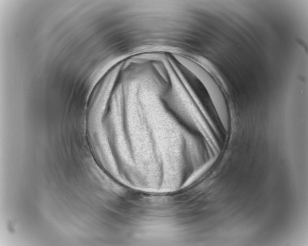X0000102311244200808152033