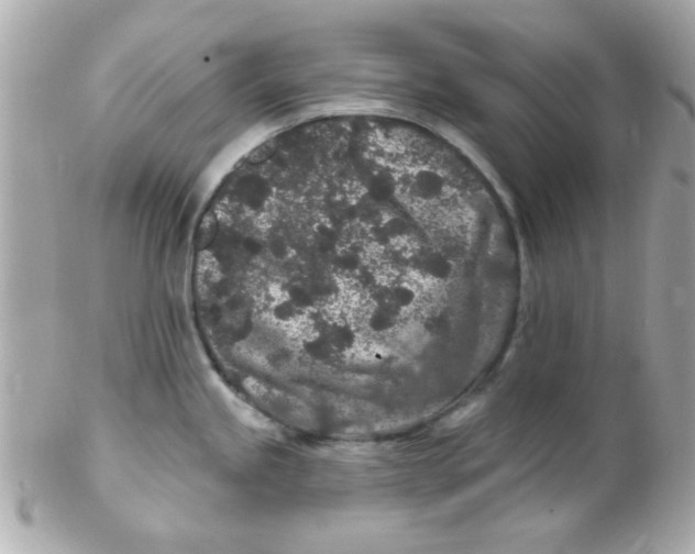 X0000102311245200808152034