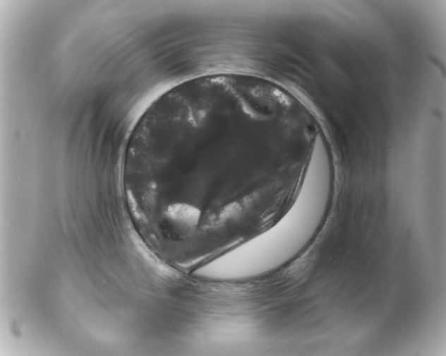 X0000102311246200808152034