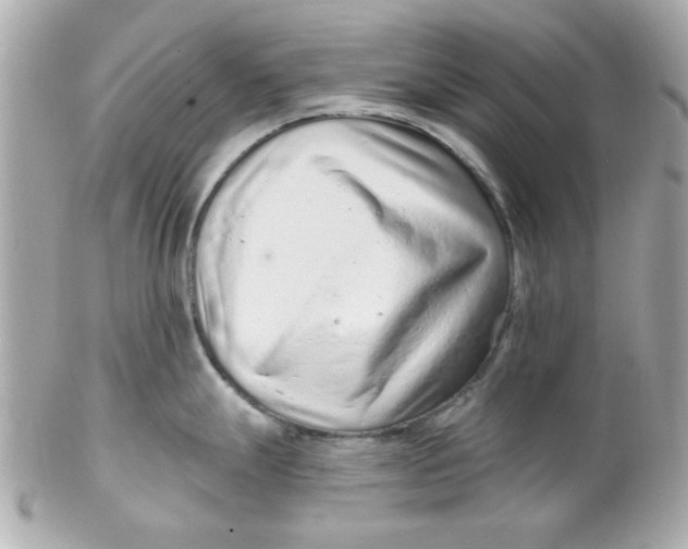 X0000102311247200808152034