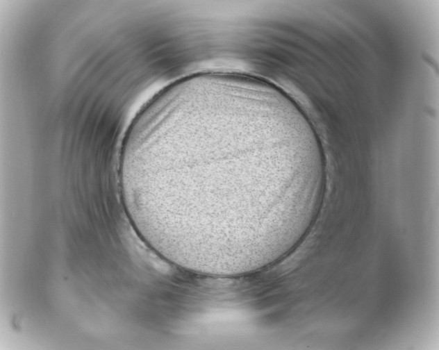X0000102311248200808152034