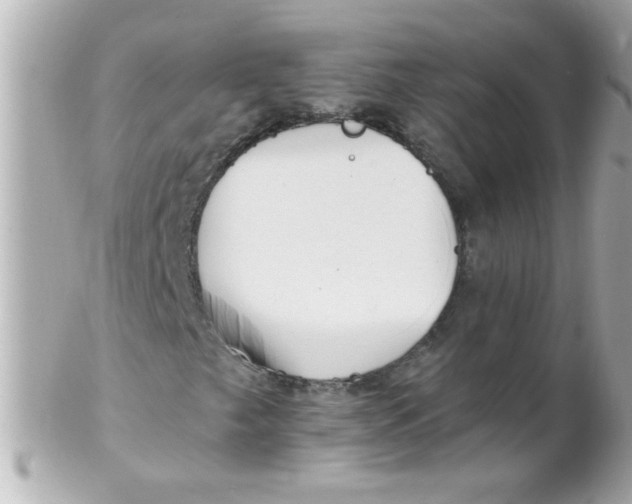 X0000102311249200808152033