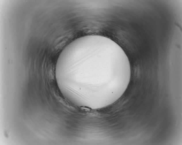 X0000102311250200808152033